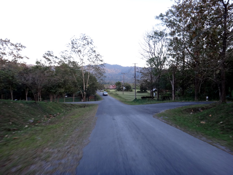 DSC02651.jpg