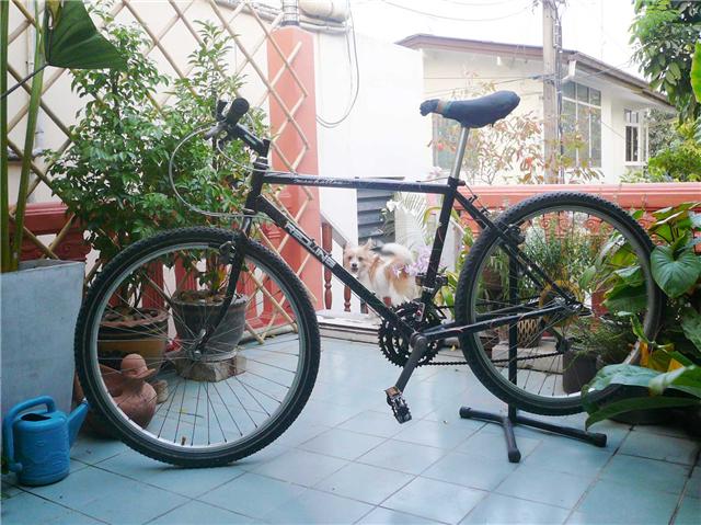 Redline01.jpg