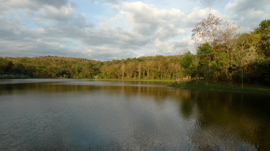 P1290071.jpg