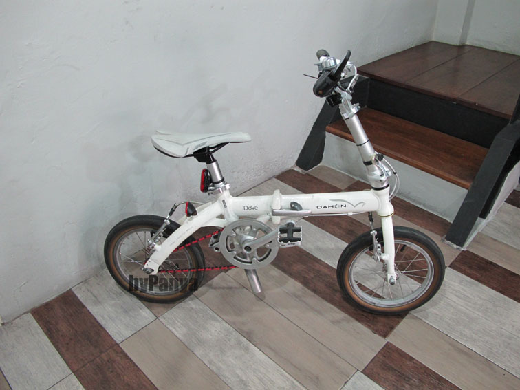 dove3.jpg