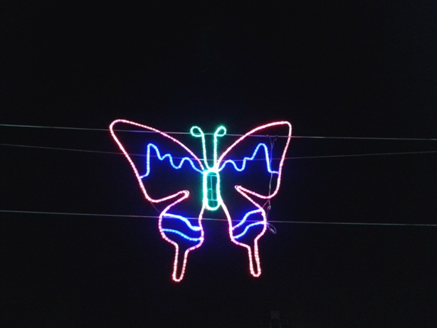 20130109_220243.jpg