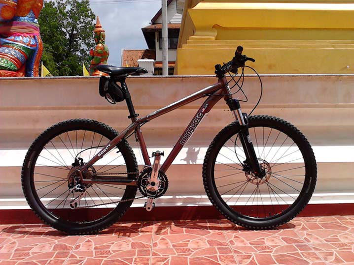 mongoose1.jpg
