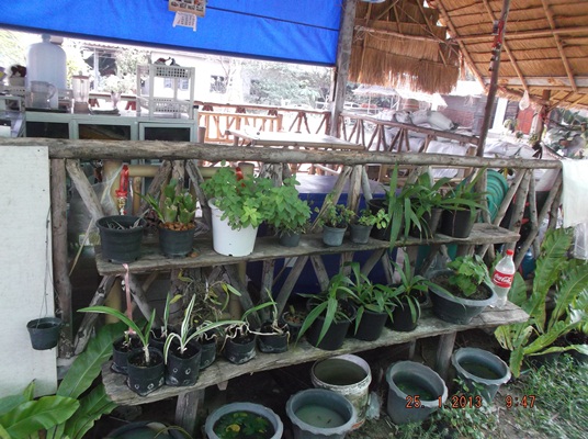 DSCF7375.JPG
