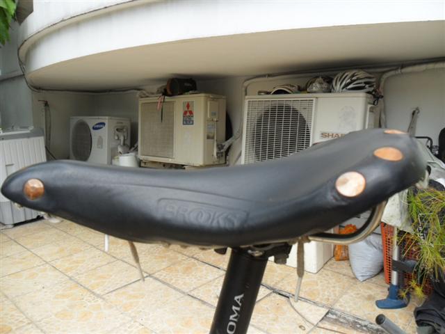 SAM_1659 (Small).JPG