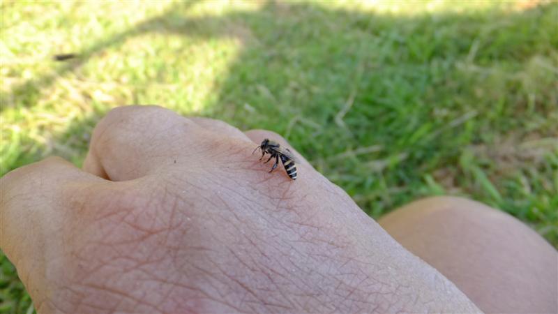 DSCF4828 (Medium).JPG