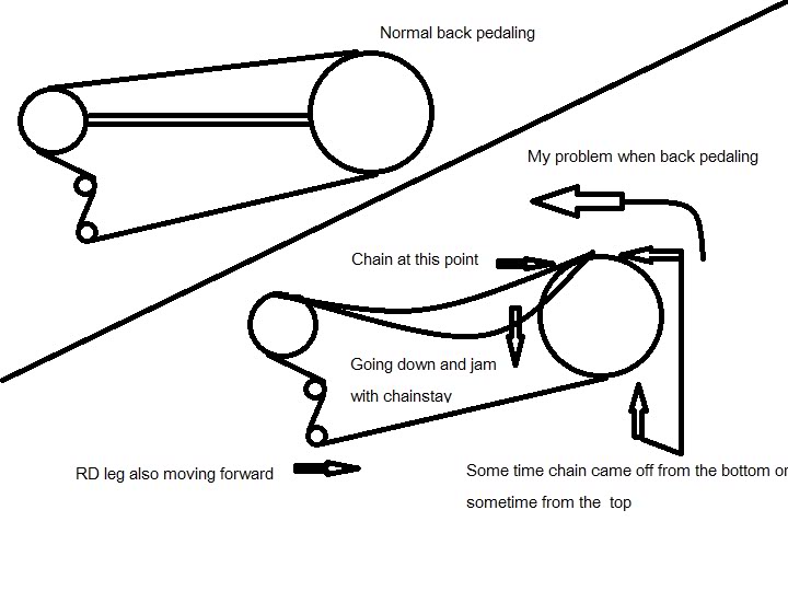 Untitled2.jpg