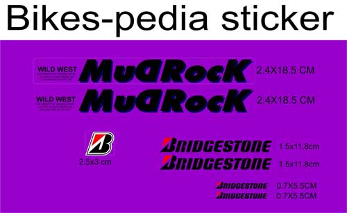bd mud copy.jpg