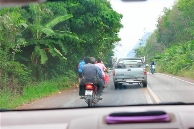 _MG_6373 (Medium) (Small).JPG