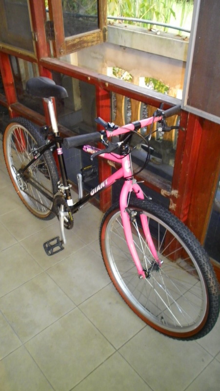 SANY0024.JPG