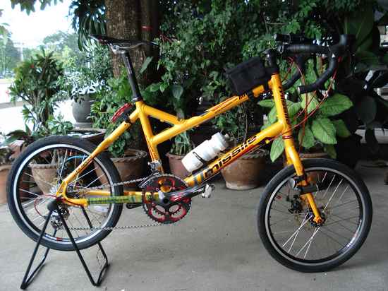 net 5.00027..jpg