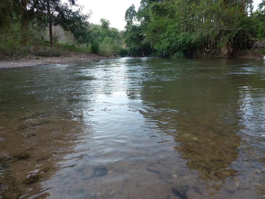 P1000850.jpg