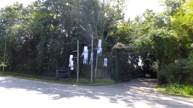 DSCF5400 (Medium).JPG