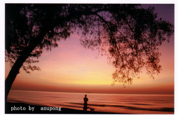 หาดนวกร