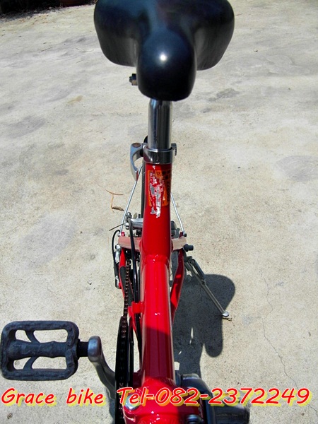 333SDC14347.JPG