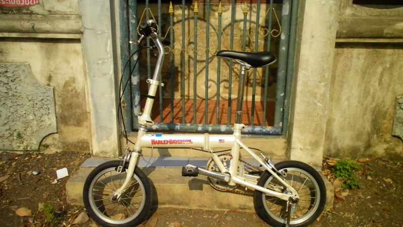 SANY0037.JPG