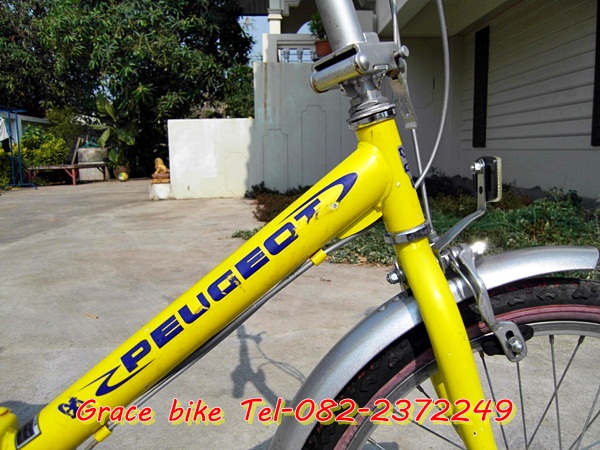 333SDC14207.JPG