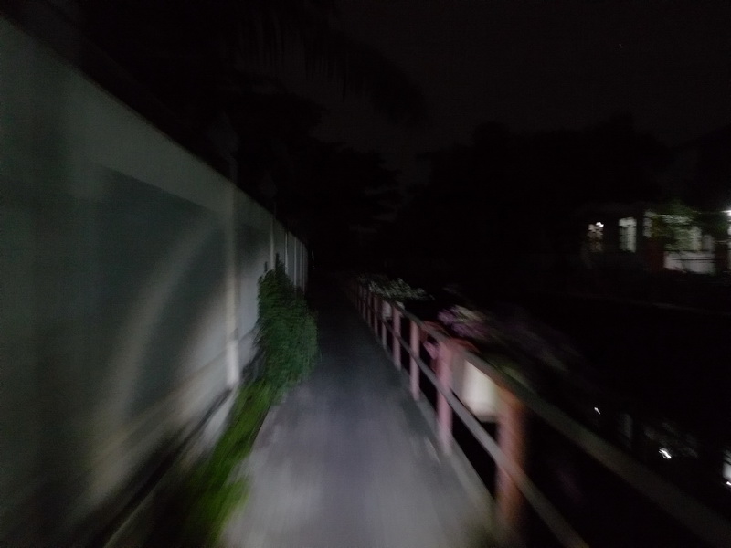 P1300618.jpg