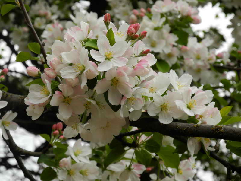 DSCN1487.JPG