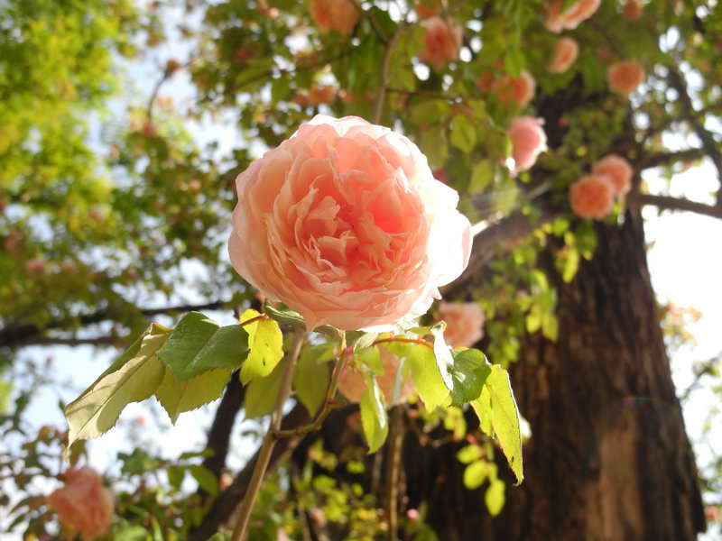 DSCN2311.JPG