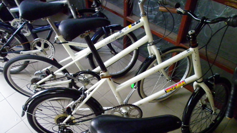 SANY0051.JPG