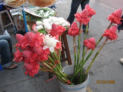 Image00296.jpg