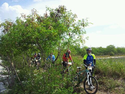 rps20130505_152146_510.jpg