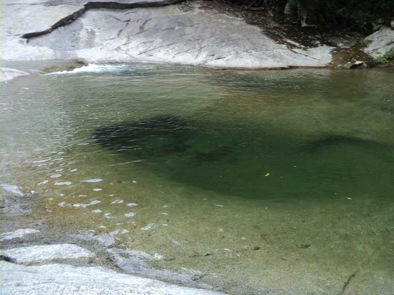 DSC07867_resize.jpg