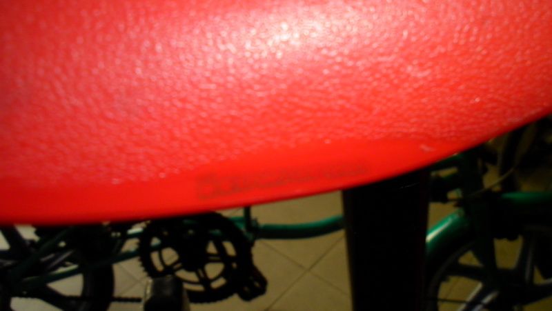 SANY0050.JPG