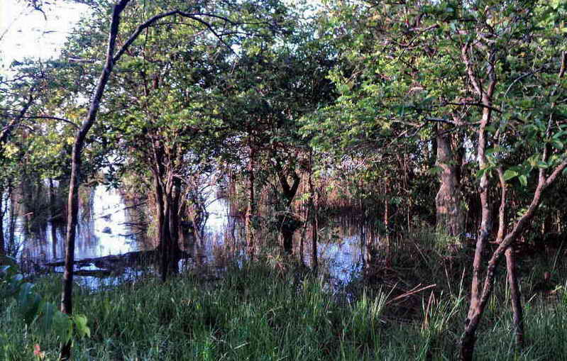DSC08260_resize.jpg