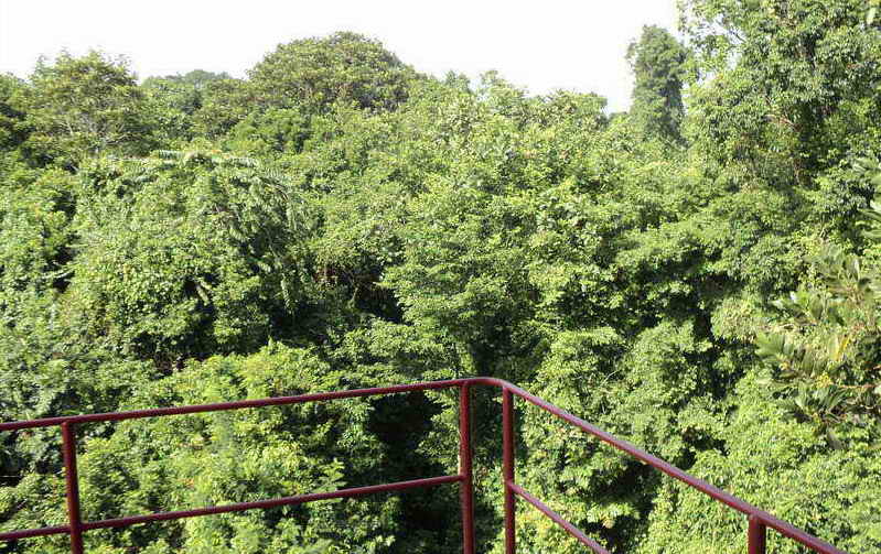 DSC08332_resize.jpg