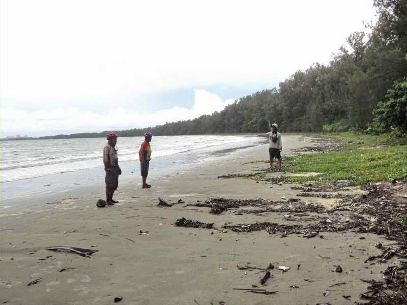 DSC08475_resize.jpg