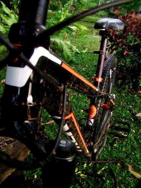 DSCF9900m1.jpg