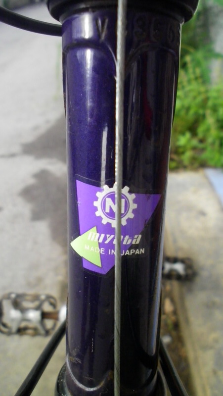 SANY0038.JPG