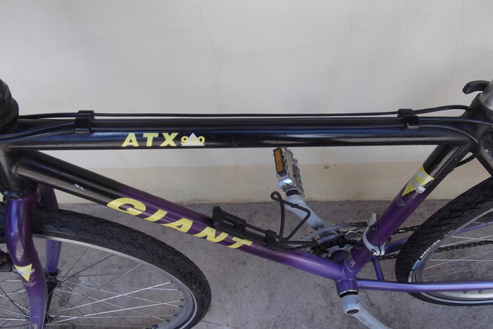 DSCF5546.JPG