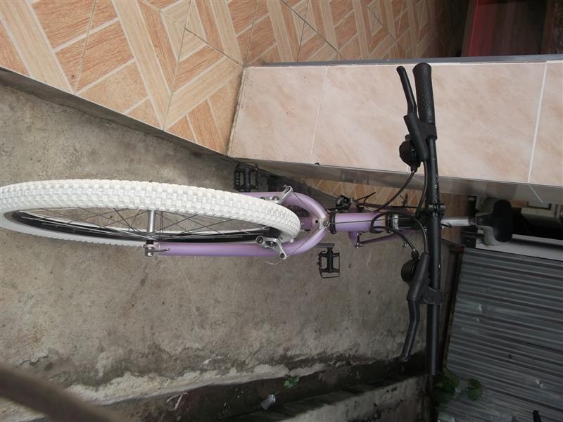 DSCF2130 (Medium).jpg