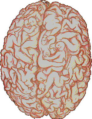 523528982.gif