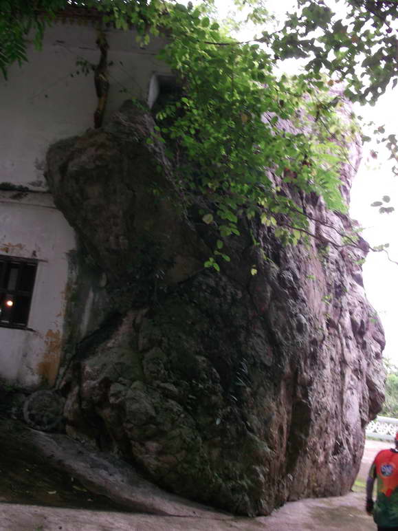 DSCF5181.JPG