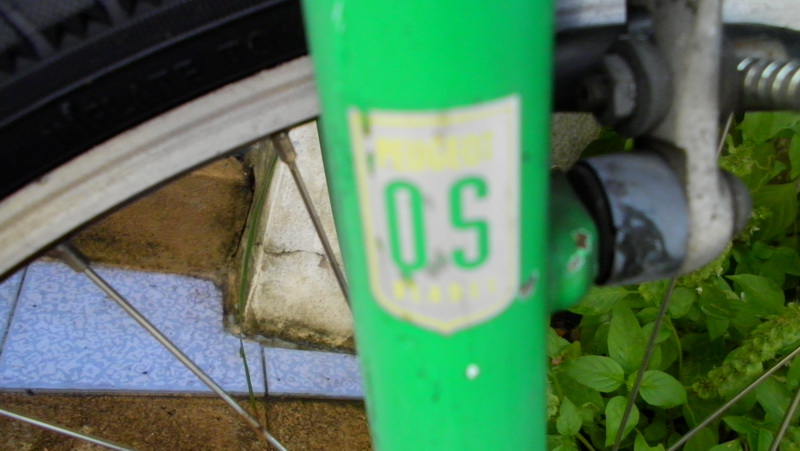SANY0044.JPG