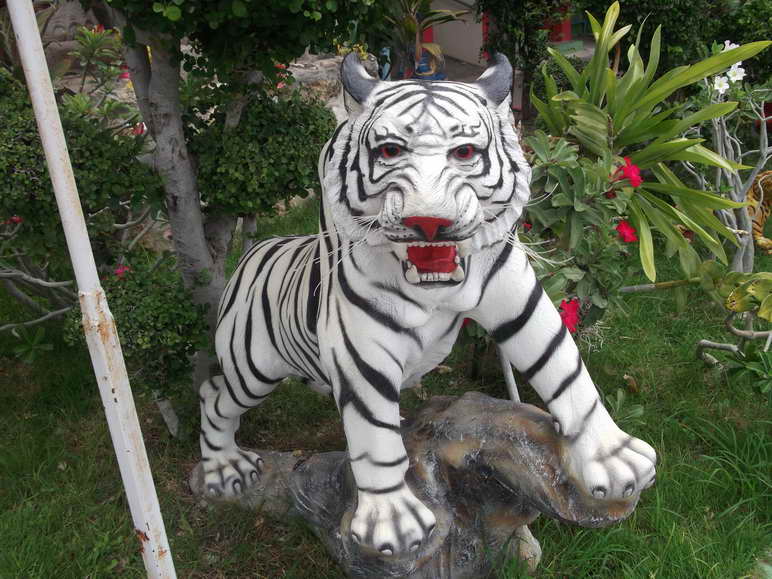 DSCF5492.JPG