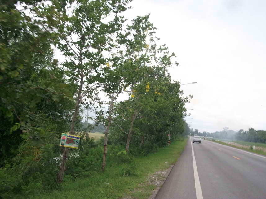 DSCF5482.JPG