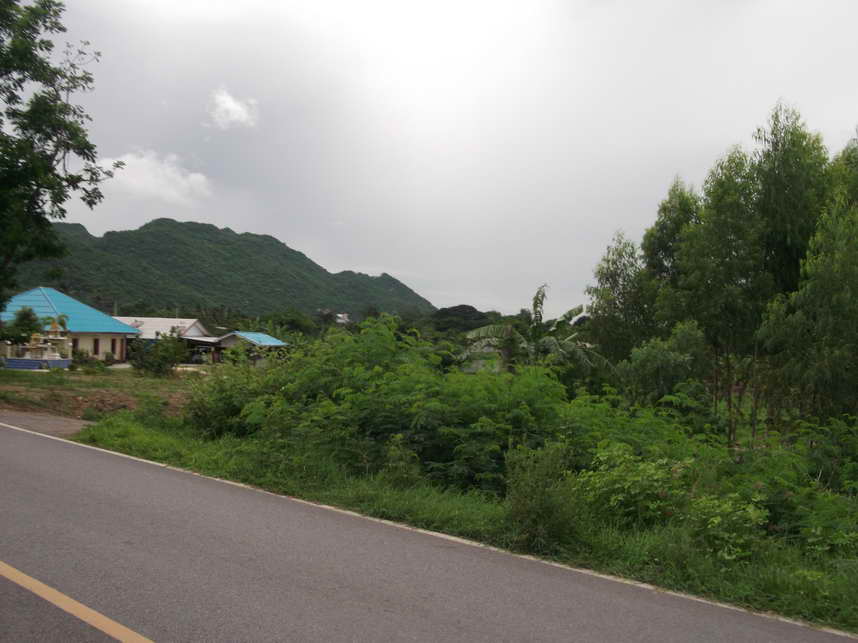 DSCF5517.JPG