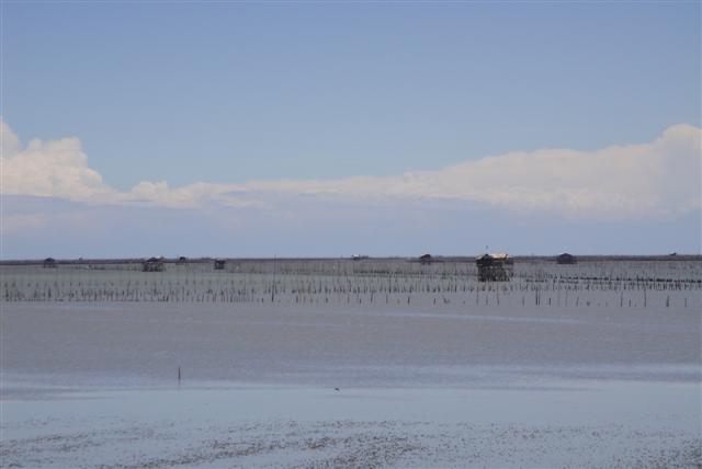 DSC00092 (Small).JPG