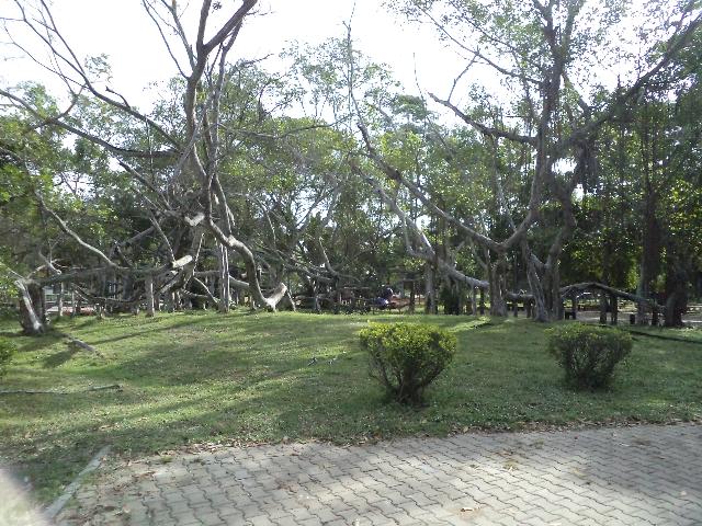 DSC03870.JPG