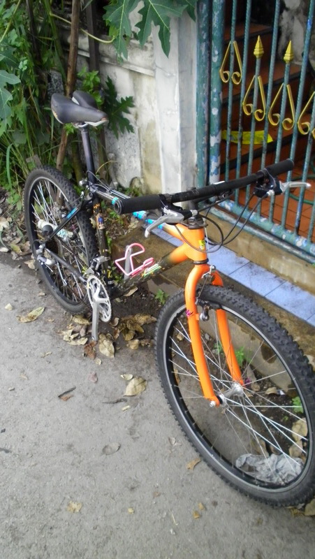 SANY0094.JPG