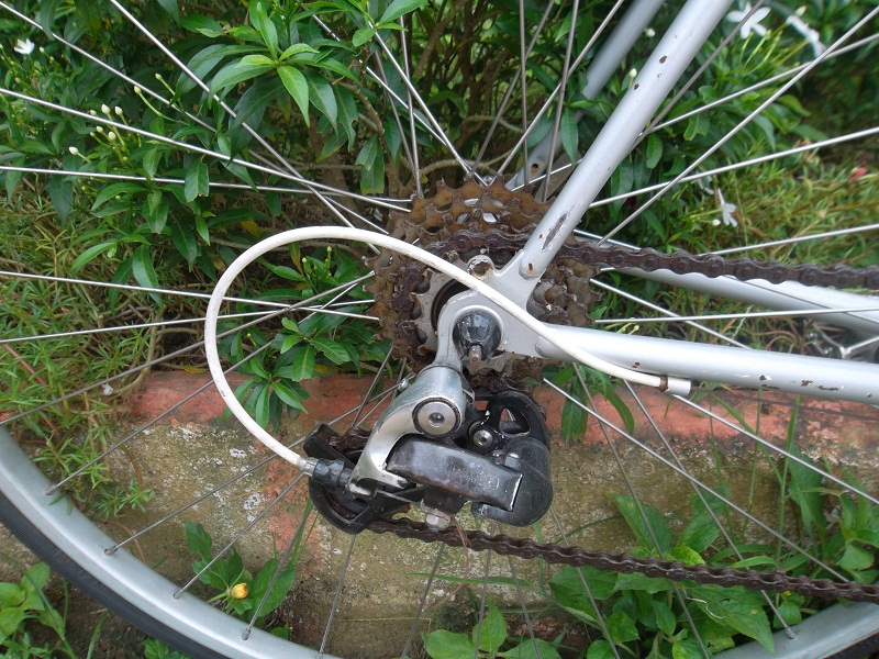 SAM_5533.JPG