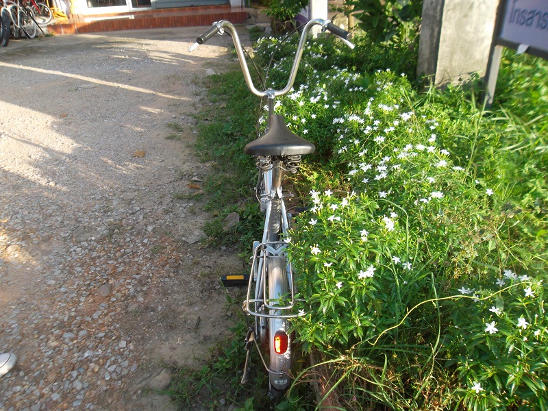 SAM_5570.JPG