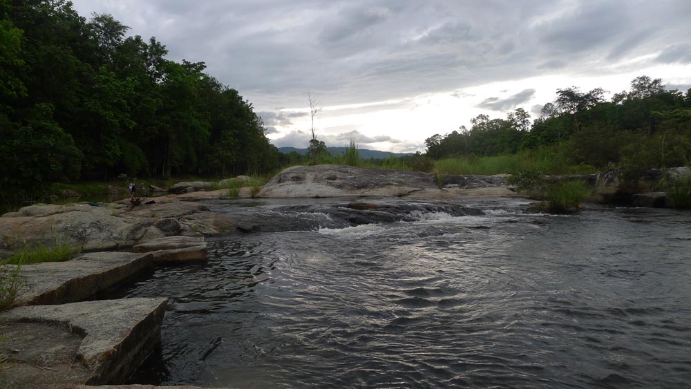 P1110034.jpg