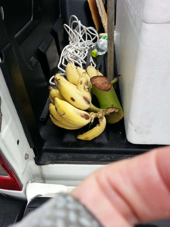 20130810_093552.jpg