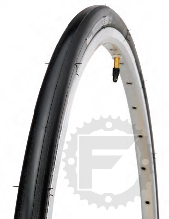 Vittoria-Zaffiro.jpg