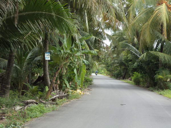 DSC08952.JPG